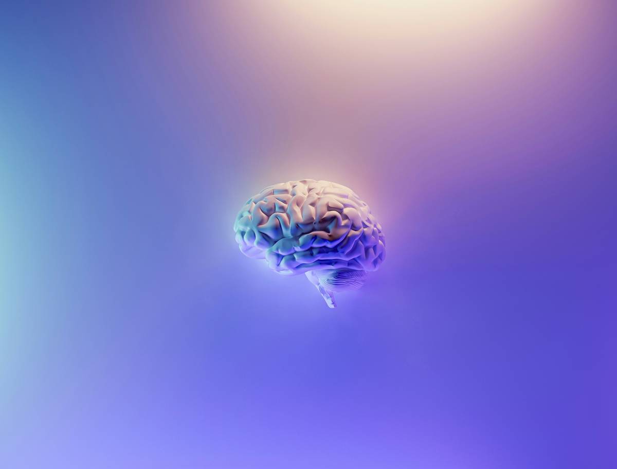 Diagram showing neural pathways during cognitive science psycholinguistic language processing in bilingual speakers