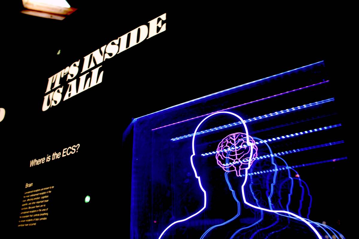 Language Mind Psycholinguistic Mental Benefit Of: 7 Proven Ways to Unlock Powerful Cognitive Gains